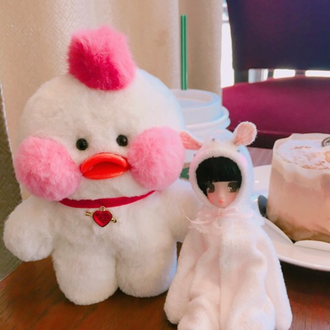 다래투 이미지
