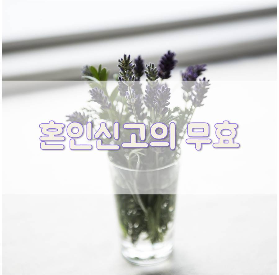 변호사김은성법률사무소 이미지