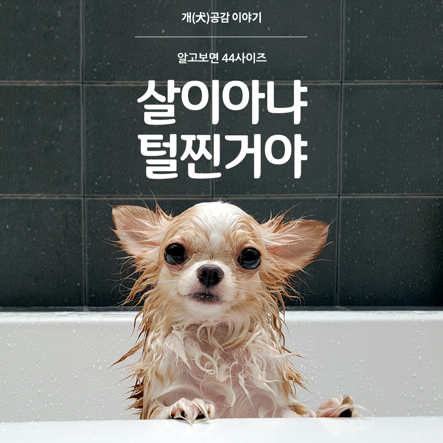 공감 이미지