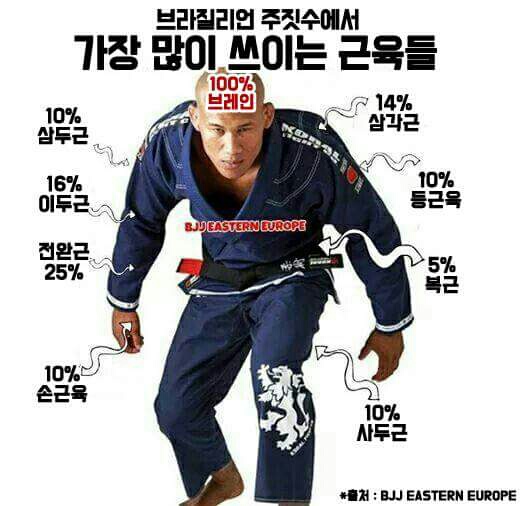 회기주짓수 이미지