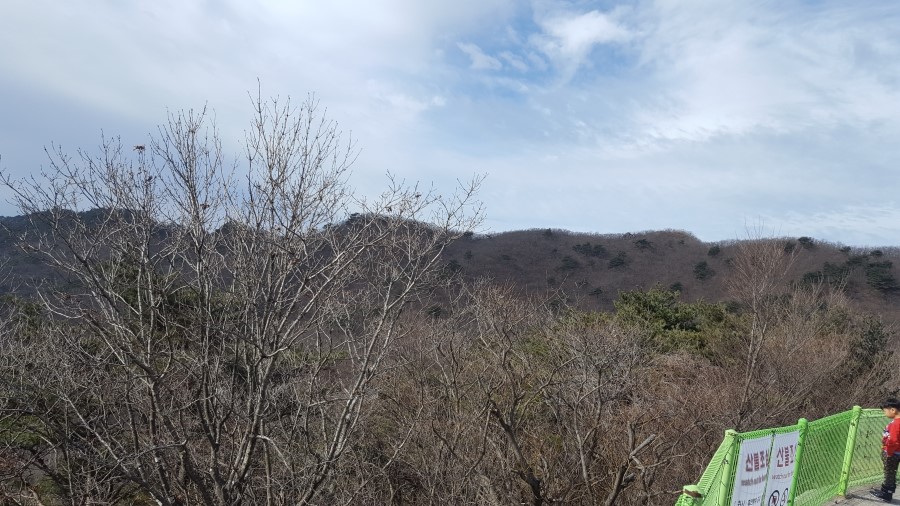 고창풍천민물장어 이미지