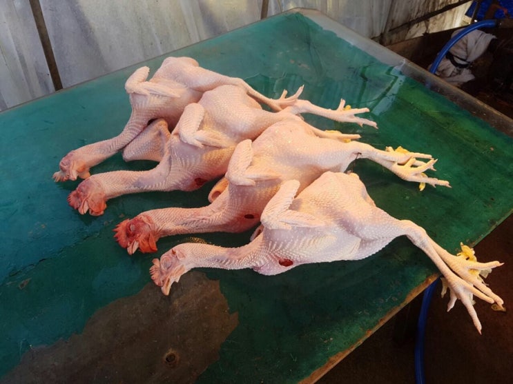 종가집토종닭 이미지