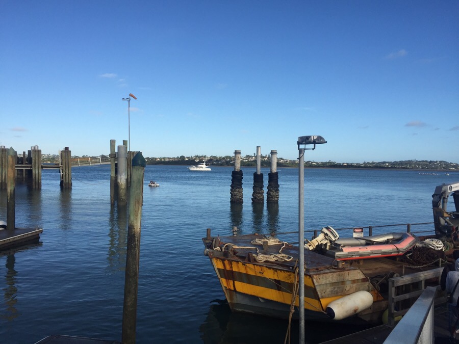 [뉴질랜드] 하프문베이(half moon bay)에서 페리타고 오클랜드시티가기 네이버 블로그