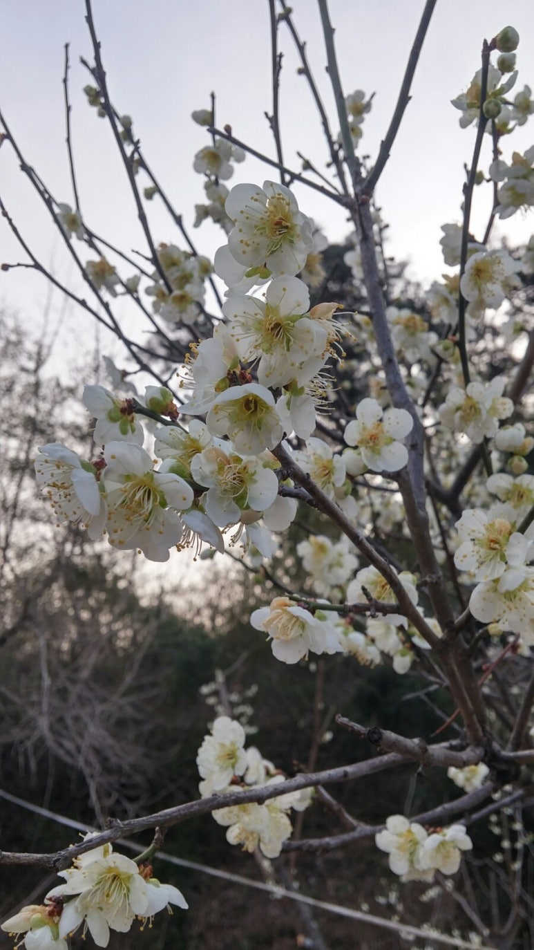 성원당구장 이미지