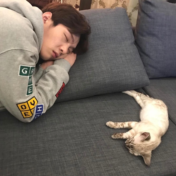 육이 이미지