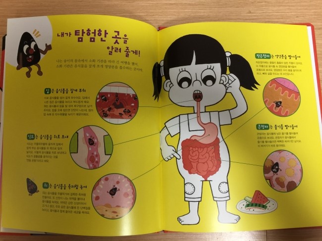 송이전집 이미지