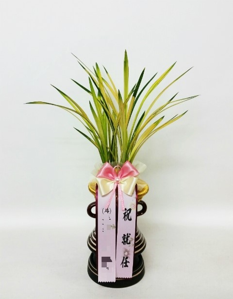 화분팜 이미지
