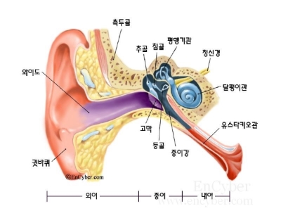 손해사정행정사사무소 이미지
