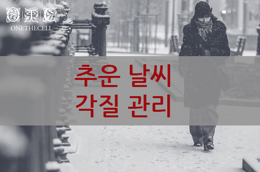 원더에셀 이미지