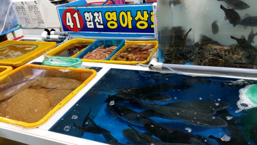 영아상회 이미지