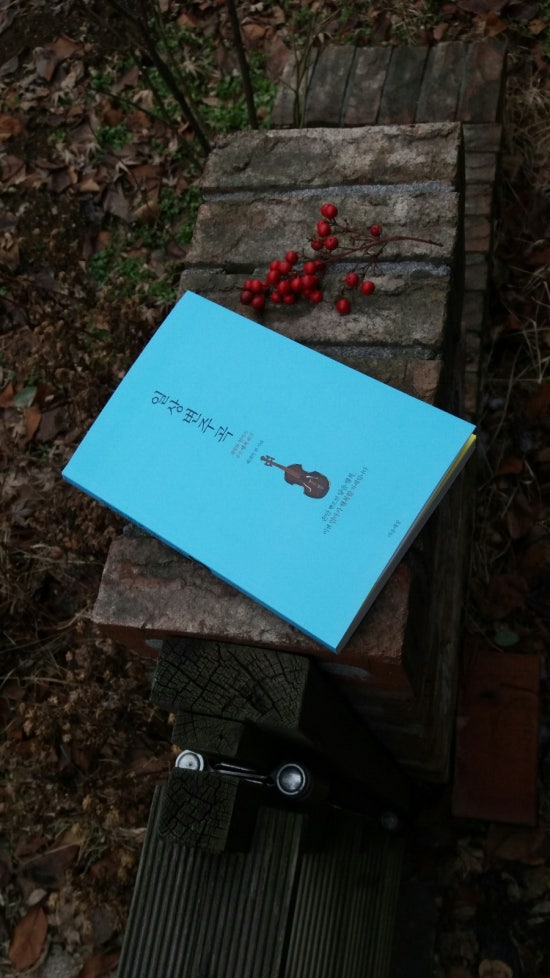 베레카 이미지