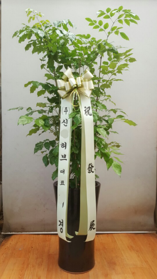 (주)더원비앤에프 이미지