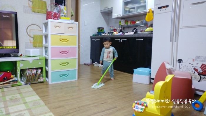 청소쟁이 이미지