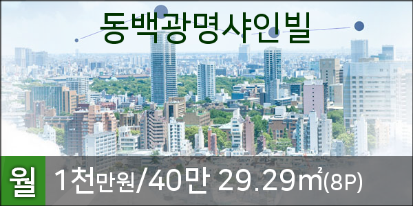 동백광명샤인빌 아파트 경기 용인시 실거래가 시세 8,100만
