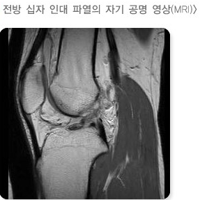 네이든스포츠센터 이미지