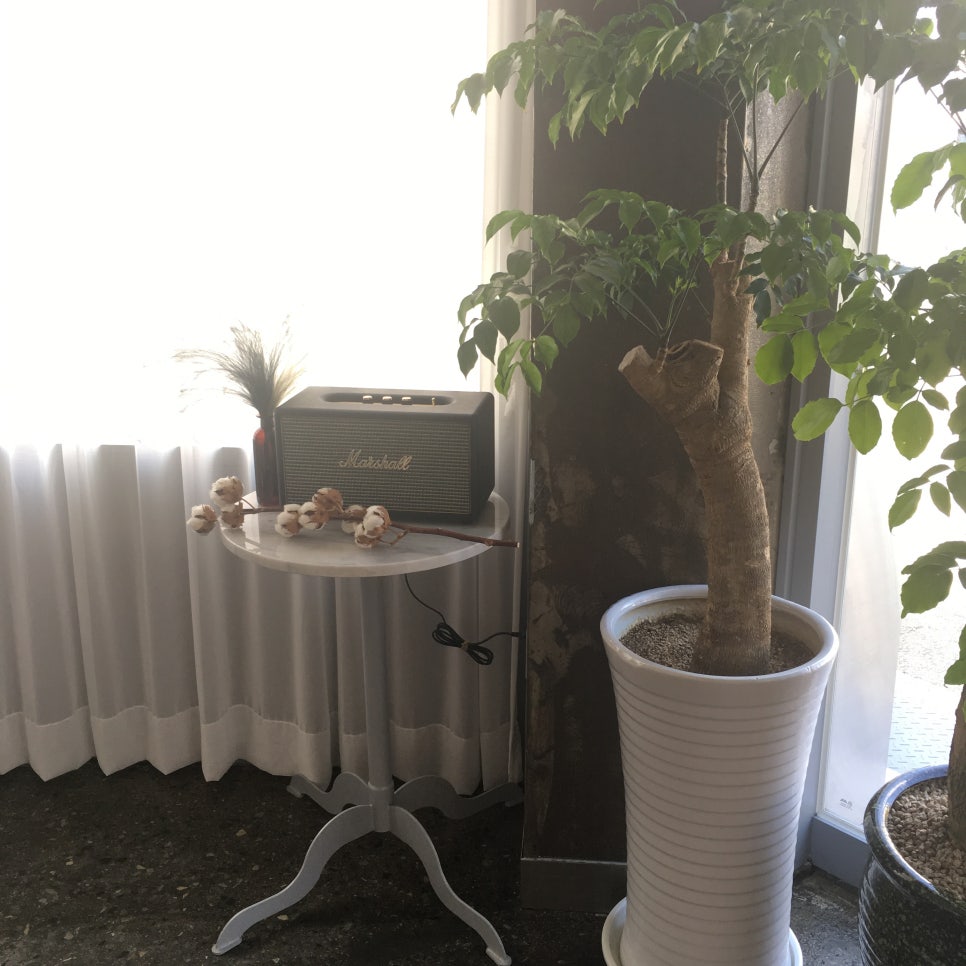 비블럭 이미지