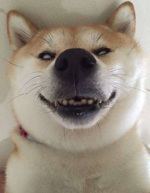 천천향 이미지