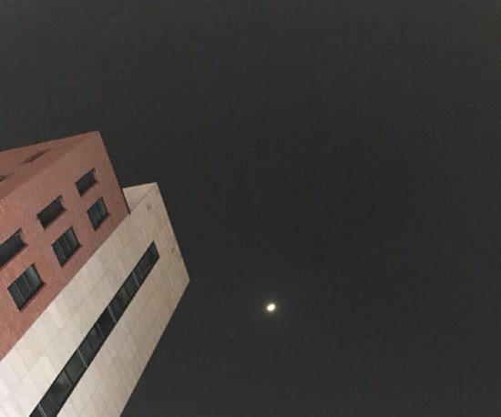 그린플라워앤가든 이미지
