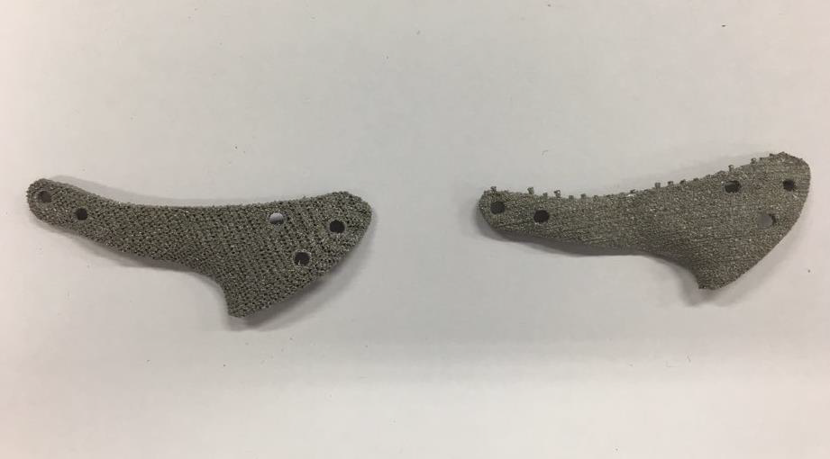 시험에 사용된 임플레이트 입니다. 왼쪽은 Mesh (다공성구조)로 만들어진 임플레이트 이고, 오른쪽은 Solid 형태의 임플레이트 입니다.
