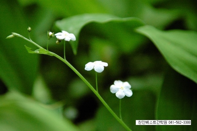 베스트간호학원 이미지