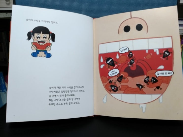 송이전집 이미지