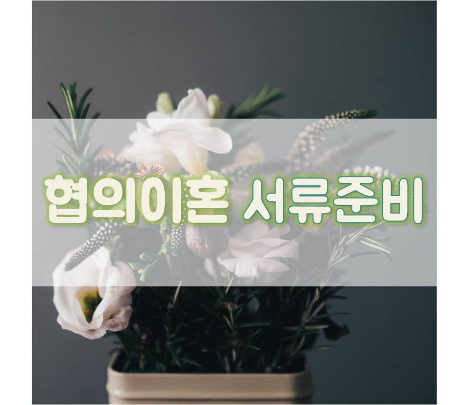 변호사김은성법률사무소 이미지
