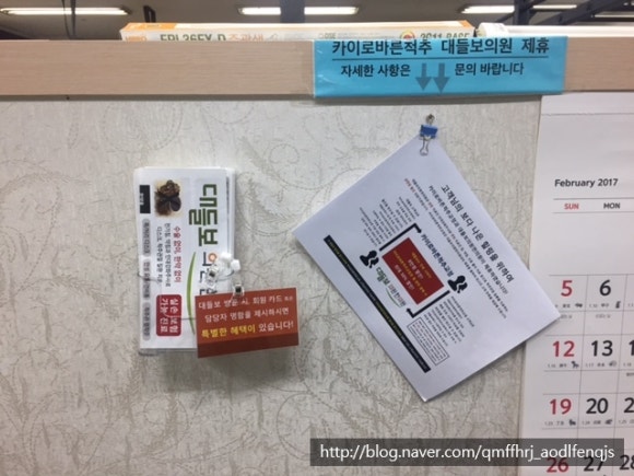카이로바른척추교정 이미지