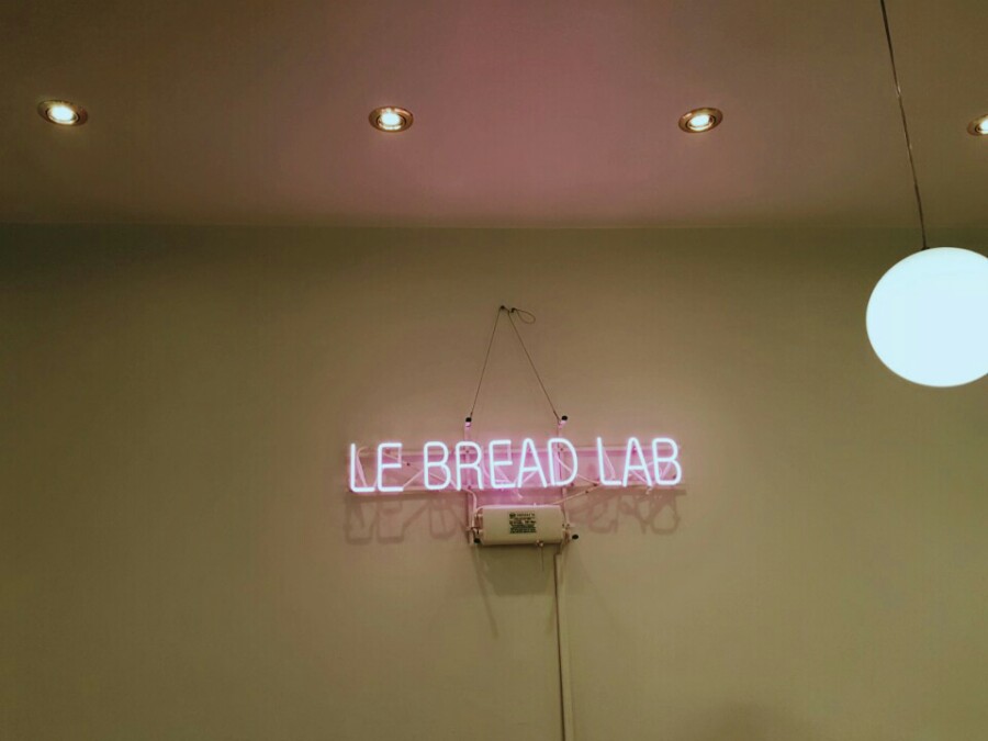 래드랩 이미지