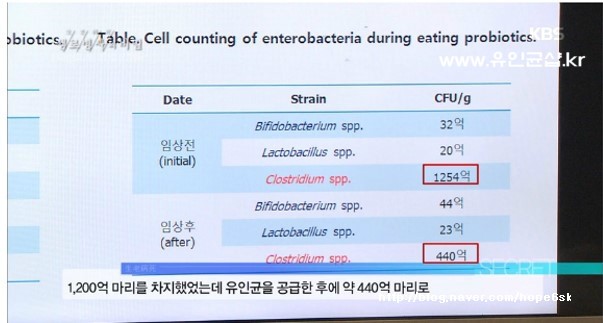 진라이프 이미지