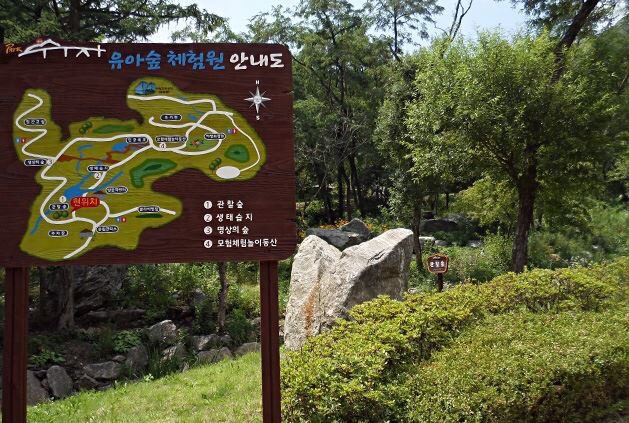 양평 유아숲체험원 이미지