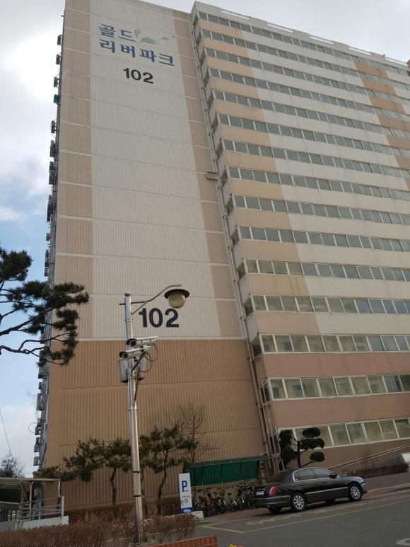 골드 D&C 이미지