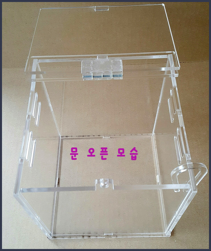 거미아크릴 이미지