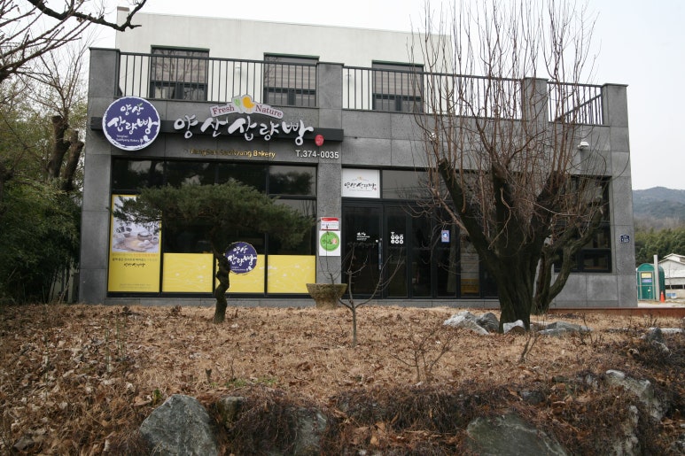 자연주의와산야초 이미지