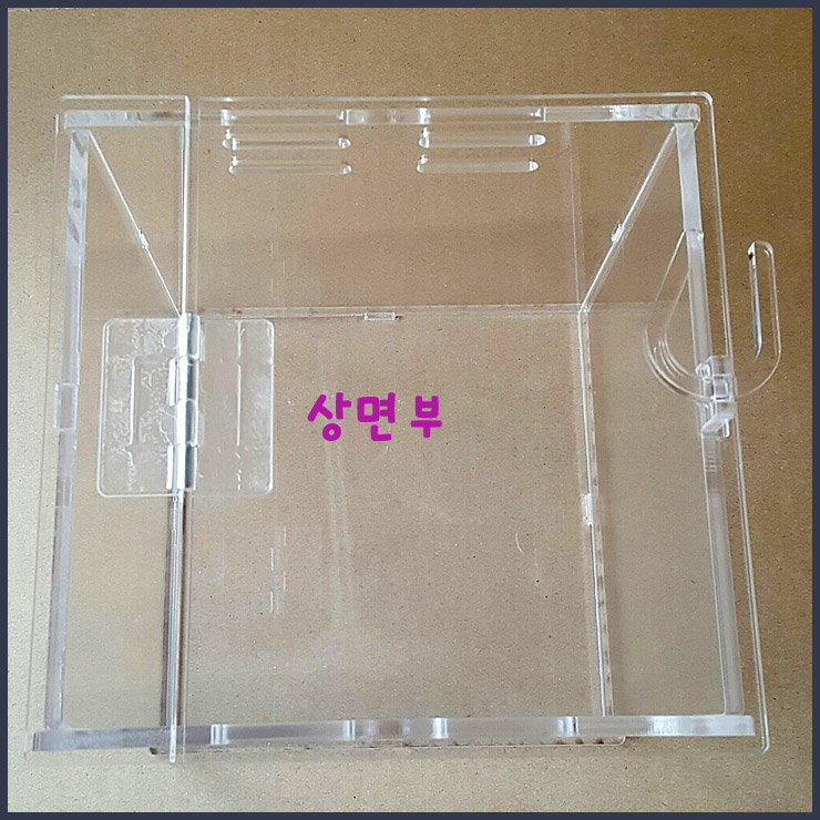 거미아크릴 이미지