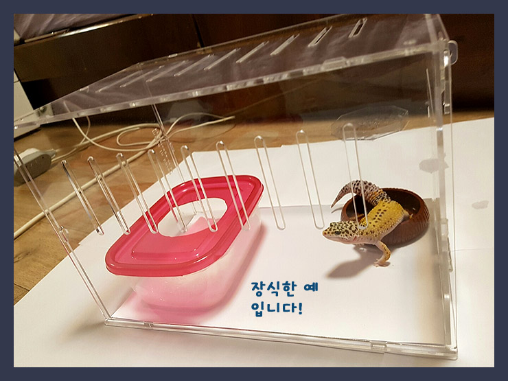 거미아크릴 이미지
