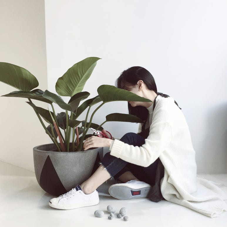 갤러리온 이미지