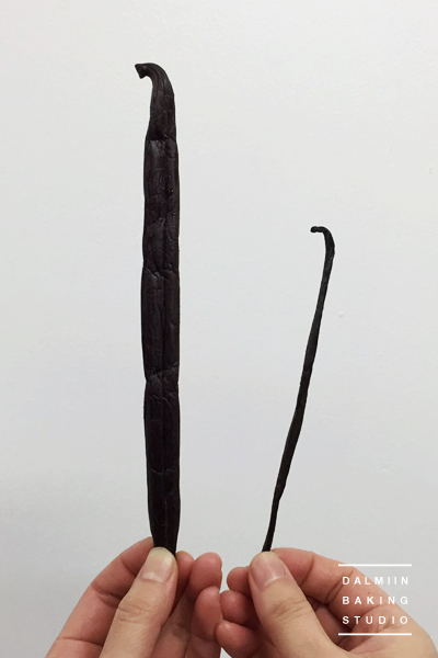 바닐라빈 이미지