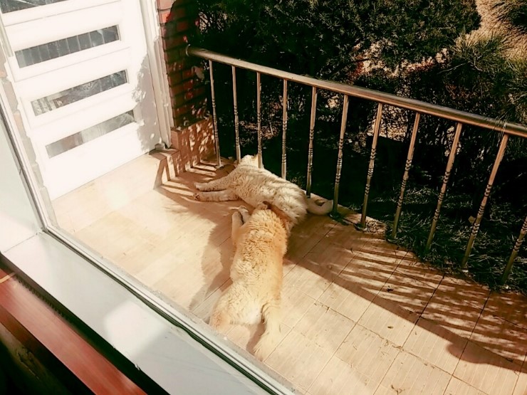 시온민박 이미지