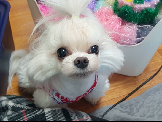 빨간모자 이미지