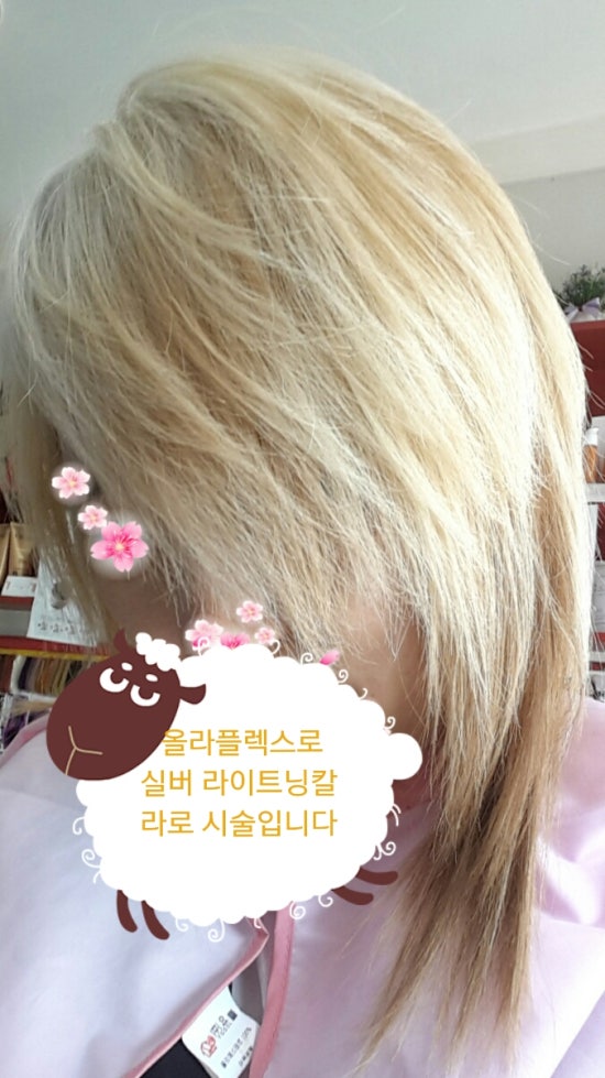 칼라헤어샾 이미지
