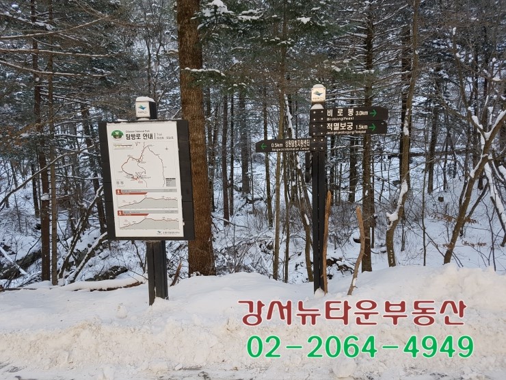 오*대 이미지