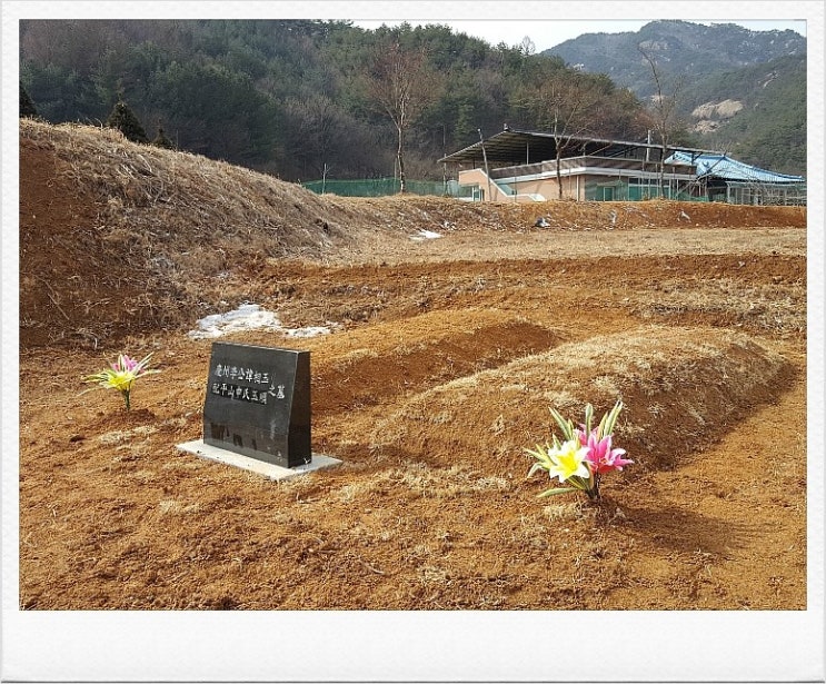 효림묘원 이미지