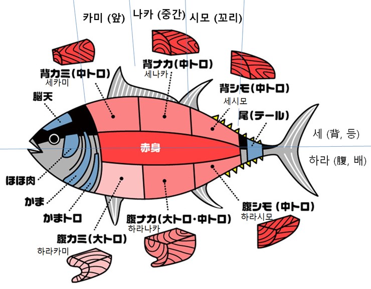 스시하나에 이미지