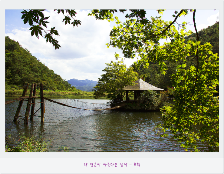 켓츠웰 이미지