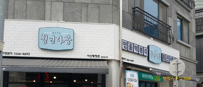 청년다방탕정점 이미지