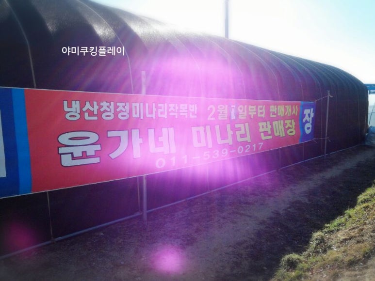윤가네미나리삼겹살 이미지