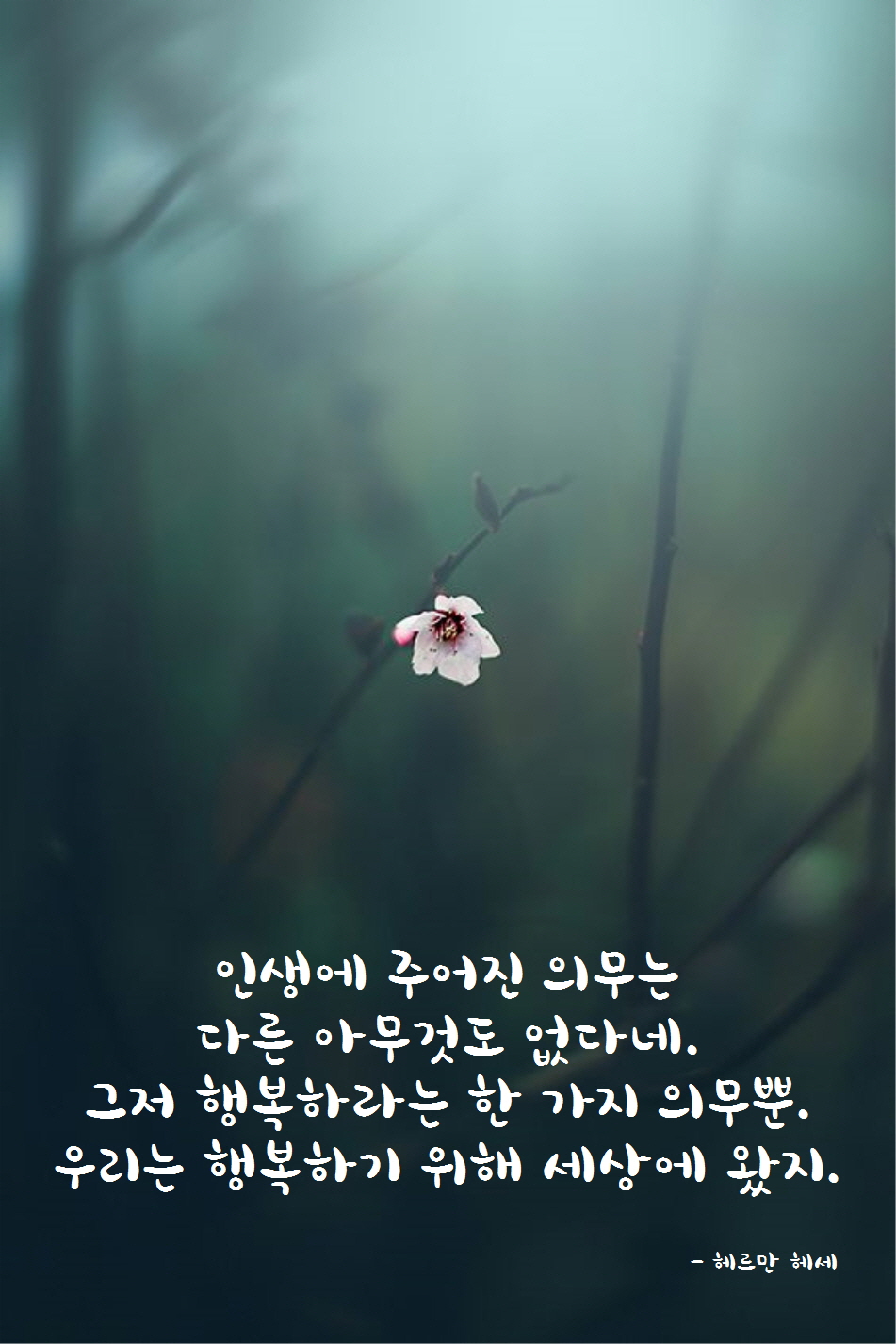 책속의행복 이미지