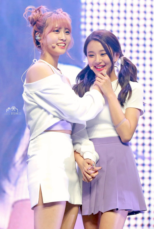 모모 이미지