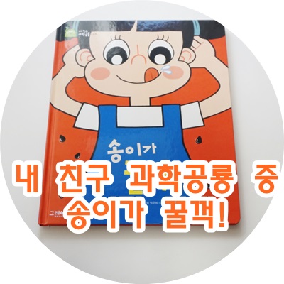 송이전집 이미지