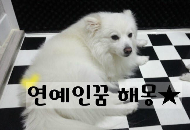 다꿈모아 이미지